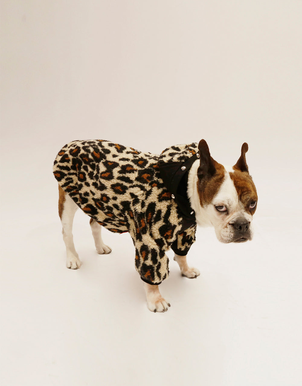 LEOPARD DOG JACKET