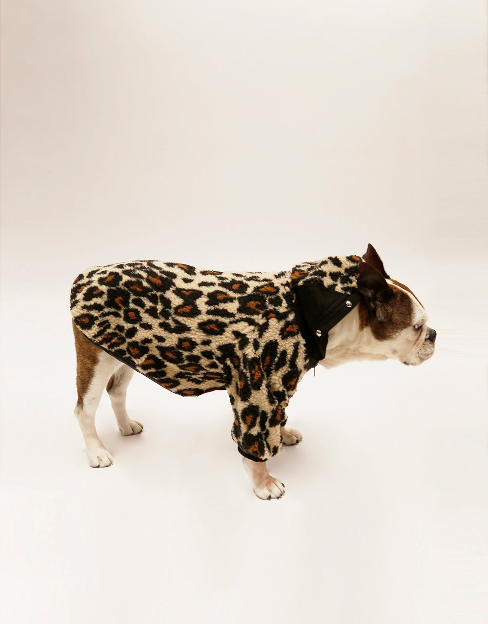 LEOPARD DOG JACKET